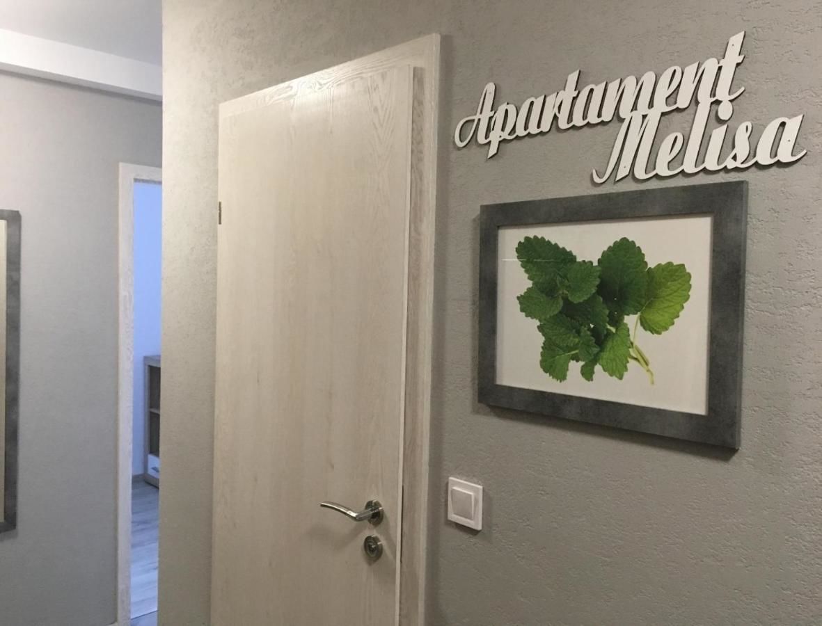 Апартаменты Apartament Melisa Шклярска-Поремба-25