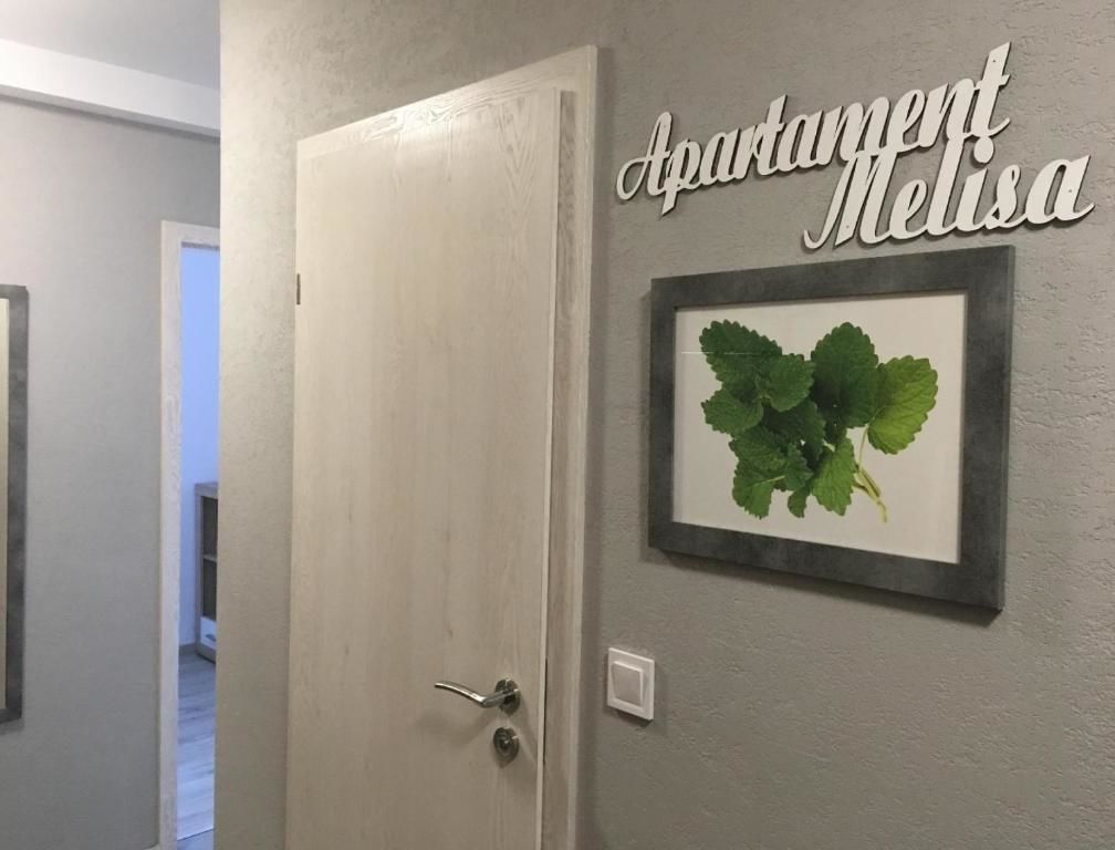 Апартаменты Apartament Melisa Шклярска-Поремба-44